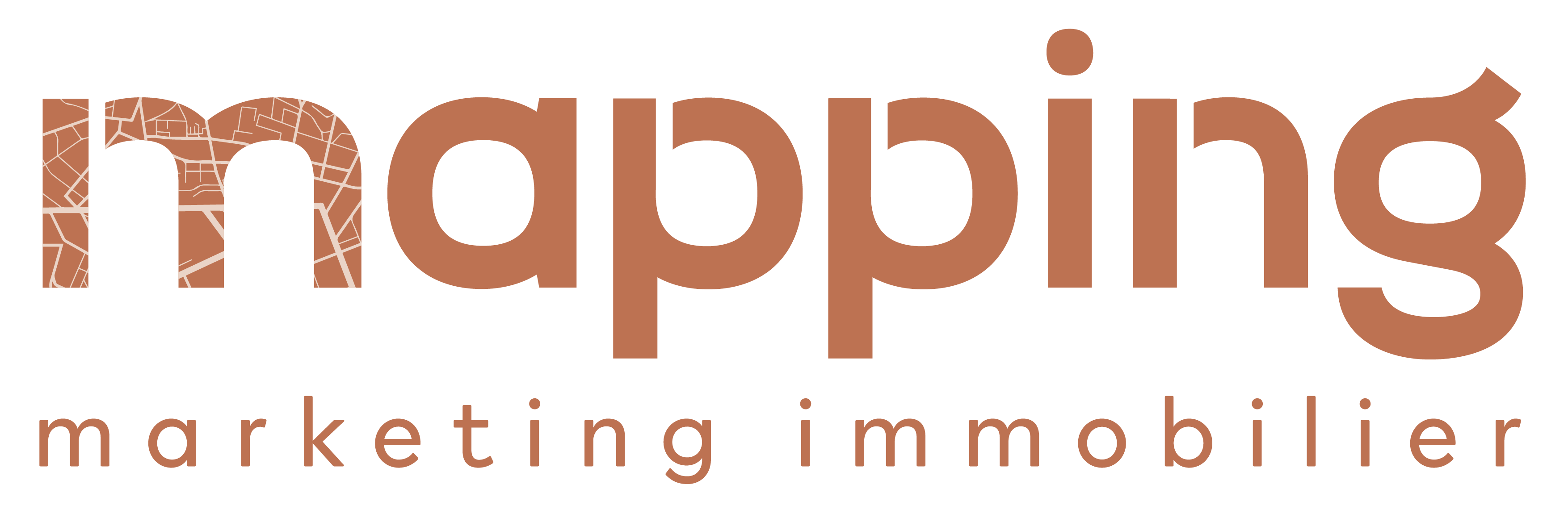mapping marketing immobilier LOGO