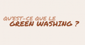 Vignette article greenwashing